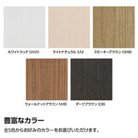 大洋 Shelfit イーシーラック 幅1180～1550×奥行295×高さ800mm ライトナチュラル ECR8012R LN 1台（直送品）