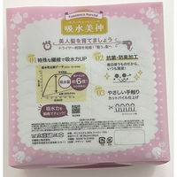 日繊商工 吸水美神マイクロファイバータオル(グリーン)/包装してお届け FM801GR-housou-10 1箱(10個入)（直送品）