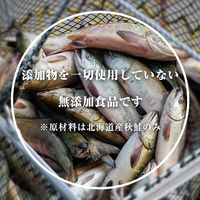カネサン佐藤水産 北海道産 天然秋鮭 無塩 冷凍 切身 パック 600g 116652880 1箱（直送品）