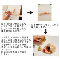 カネサン佐藤水産 北海道産オオズワイガニ カナダ産本ズワイガニ 食べ比べセット 4尾 計1.5kg 116652882 1箱(4尾入)（直送品）