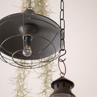 ポッシュリビング アイアンチェーン シルバー L100cm 63722 1個（直送品）