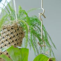 ポッシュリビング Sフック ロングS　W4×D0.5×H18cm ブラス 63988 1セット(2個)（直送品）