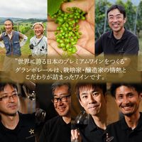 グランポレール 余市ケルナー ＜遅摘み＞ 白ワイン やや甘口 750ml 1本　サッポロ　日本ワイン