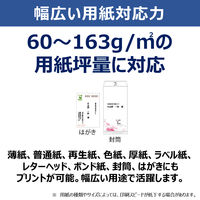 キヤノン レーザービームプリンター Satera LBP171 1台