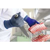 【耐切創最高レベルF】宇都宮製作 仁王耐切創手袋 M3130N Lサイズ ノンコート 13G レベルF TS4900NーBPL 1双