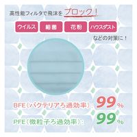 竹虎 サージマスクL2（ブルー）076262 1箱（50枚入）