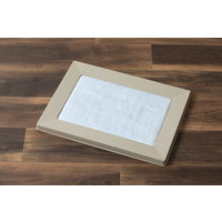 アイリスオーヤマ スクエアドッグトレー ワイド SQDT-616W 1個（直送品）