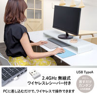 プラス 薄型 持ちハコビ マウス GY TW-MO001 1個（直送品）