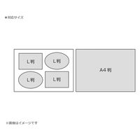 万丈 シャルムフレーム A4/多窓 106706 1枚（直送品）