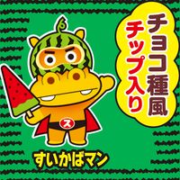 【アウトレット】ロッテ スイカバーガム 1セット（1個×10）