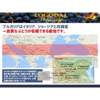 ブルガリア ロゴダジ シャルドネ・ヴェルメンティーノ 白ワイン 辛口 750ml 1本 三菱食品