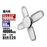 藤原産業 SK11 リーフライト替球 80W LDAー80DGーSKN 1個（直送品）