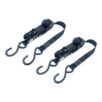 藤原産業 EーValue ラチェット式荷締機ベルト収納タイプ 幅25mm 4m Sフック 2個入 RTRー2540S 1セット(2組)（直送品）