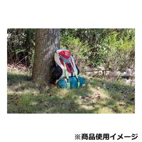 藤原産業 EーValue ワンタッチ荷締ベルト 幅25mm 2m コヨーテ PTー2520CT 1セット(12個)（直送品）