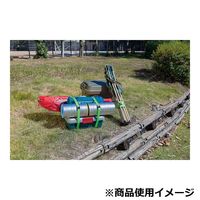 藤原産業 EーValue カムバックル式荷締ベルト 幅25mm 2m ライトグリーン BTー2520LG 1セット(10個)（直送品）