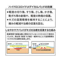 【アウトレット】【Goエシカル】訳あり ネクスケア ハイドロコロイドメディカルパッド Lサイズ 5枚入 1箱 スリーエムジャパン