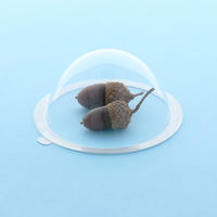 サンスター文具　おもいでカプセル　大　S8104395　1個