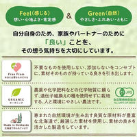 Feel&Green やさしいコーンフレークビターカカオ 140g 1袋 日本食品製造 シリアル