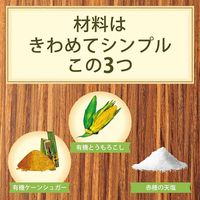 Feel&Green やさしいコーンフレークプレーン 120g 1袋 日本食品製造 シリアル