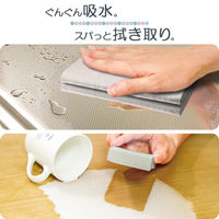 キッチン まるごと スウノ 超吸水スポンジ 拭きあとスッキリ ふきんタイプ 1個 アイオン