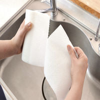 2way スクラブシートスポンジ ロール 60カット 食器洗い シンク洗い 1個 ストリックスデザイン