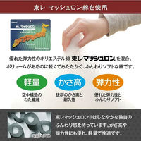 イケヒコ 天舞 掛布団 銅 205×285cm 1160960220303 1個（直送品）