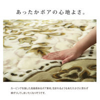 イケヒコ・コーポレーション シャルマン こたつ敷 グリーン 195×295cm 1161691125309 1個（直送品）