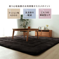 イケヒコ 大判ドーク こたつ敷 ブラウン 220×260cm 1161710066213 1個（直送品）