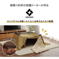 イケヒコ スパット 省スペース ベージュ 200×240cm 1181590020221 1個（直送品）