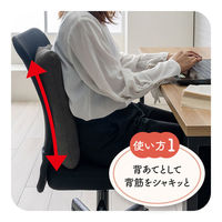 イケヒコ フィース その他 ブラック 40×40cm 1212080038501 1個（直送品）