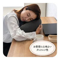 イケヒコ フィース その他 ブラック 45×30cm 1212080038601 1個（直送品）