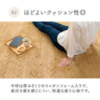 イケヒコ アルテラ ジャガードラグ 2400×2000mm ブラウン 1280900061303 1枚（直送品）