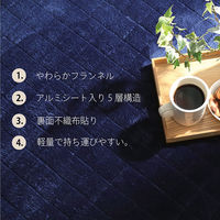 イケヒコ レイヤー キルトラグ 2400×2000mm ブラウン 1292641066401 1枚（直送品）