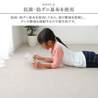 イケヒコ フリッシュ 無地ラグ 江戸間4.5畳 2610×2610mm ブラウン 1340940063502 1枚（直送品）