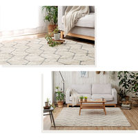 イケヒコ ポラロ 柄ラグ 2400×1900mm アイボリー 1340970142003 1枚（直送品）