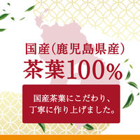 アサヒ飲料 和の紅茶 ストレートティー～国産はちみつ仕立て～ 600ml 1セット（48本）