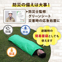 アストロ ハトメ付きグリーンシート 190×280cm 505-17 1枚（直送品）