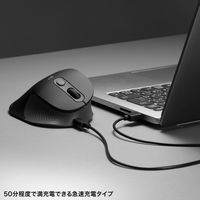 サンワサプライ 静音ワイヤレスエルゴノミクスコンボマウス MAーEWBBS528LBK 1個