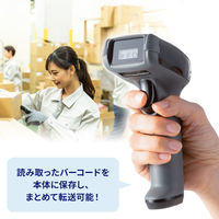 サンワサプライ 2次元ワイヤレスバーコードリーダー（2.4Gワイヤレス＋Bluetooth） BCRーBT2D13BK 1個