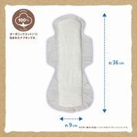 【生理用品】 ナプキン 夜用 羽なし 36cm オーガニックコットン ナプキン 夜用 36ＣＭ 肌ケアタイプ 1パック（7個入）コットン・ラボ
