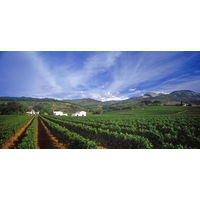 【サクラワインアワード ゴールド】南アフリカ KWV ビッグビル CS 赤ワイン ミディアムボディ 750ml 1本 国分