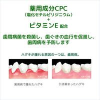 ガム デンタルペースト ソルティミント 150g サンスター GUM 歯磨き粉 原因菌を殺菌・除去 歯周病予防 口臭 塩