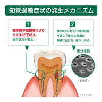 GUM（ガム）知覚過敏ラボ デンタルペースト マイルドハーブ 歯磨き粉 90g 1セット（3本） サンスター