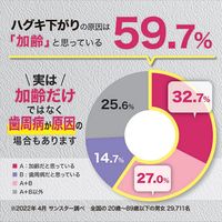 GUM（ガム）ハグキラボ デンタルペースト ナチュラルハーブミント 歯磨き粉 85g 1セット（2本） サンスター