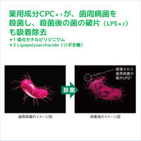 GUM（ガム）歯磨き粉 デンタルペースト 爽快タイプ 虫歯・歯周病予防 口臭防止 120g 1セット（3本） サンスター