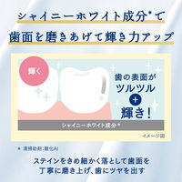 Ora2（オーラツー）プレミアム 美白 歯磨き粉 ステインクリアペースト アロマティックミント 100g 1セット（3本） サンスター