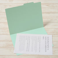 プラス 個別フォルダーA3ベーシックカラー ブルー 87425 1枚（直送品）