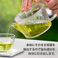 HARIO（ハリオ）フィルターイン 急須 ティーポット 450ml トライタン製 FIKー45ーT 1個