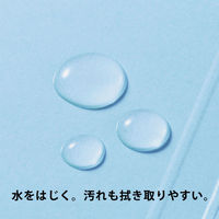 コクヨ アスクル 共同企画 フラットファイル PPラミネート A4ヨコ ロイヤルブルー 10冊 オリジナル（わけあり品）