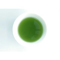 茶の大胡 お徳用 粉末緑茶 1セット（1袋（100g）×3）